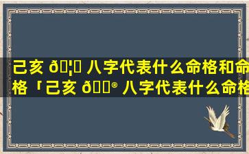 己亥 🦟 八字代表什么命格和命格「己亥 💮 八字代表什么命格和命格的人」